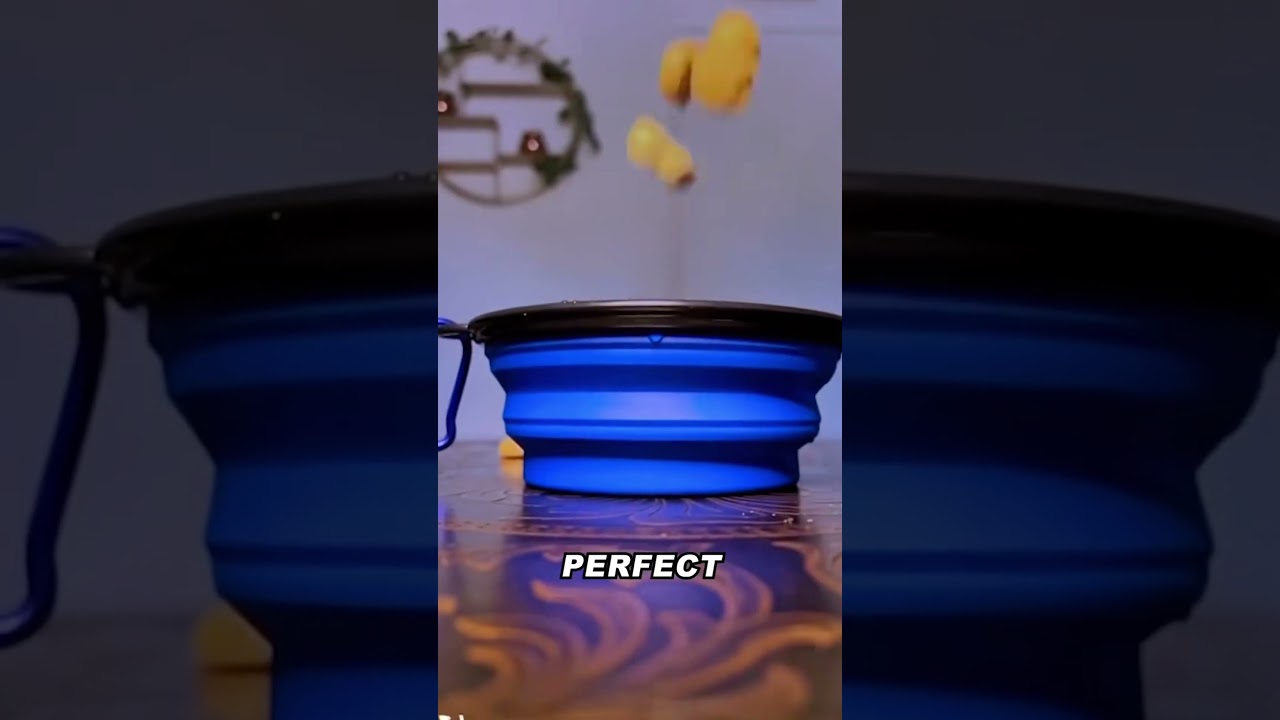 Collapsible Silicone Dog Bowl