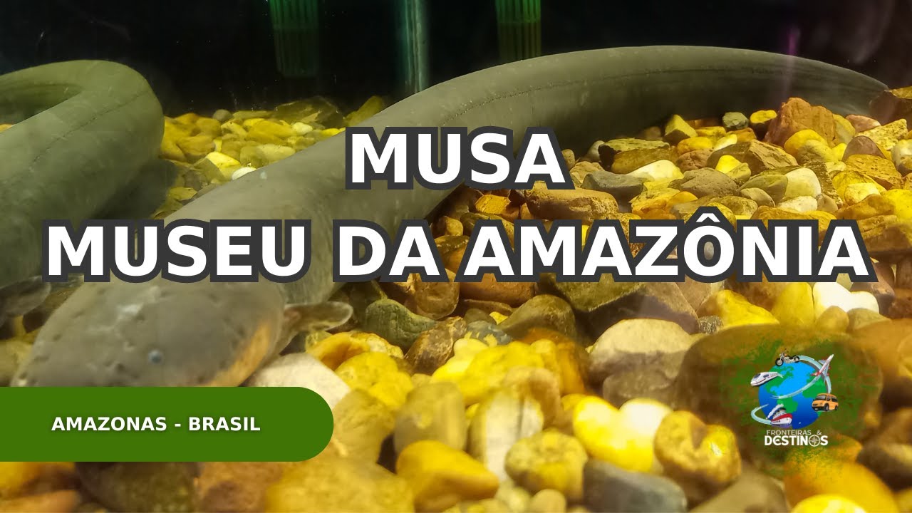 CONHEÇA O JARDIM BOTÂNICO DO AMAZONAS | MUSA | MUSEU da AMAZÔNIA | Fronteiras e Destinos.