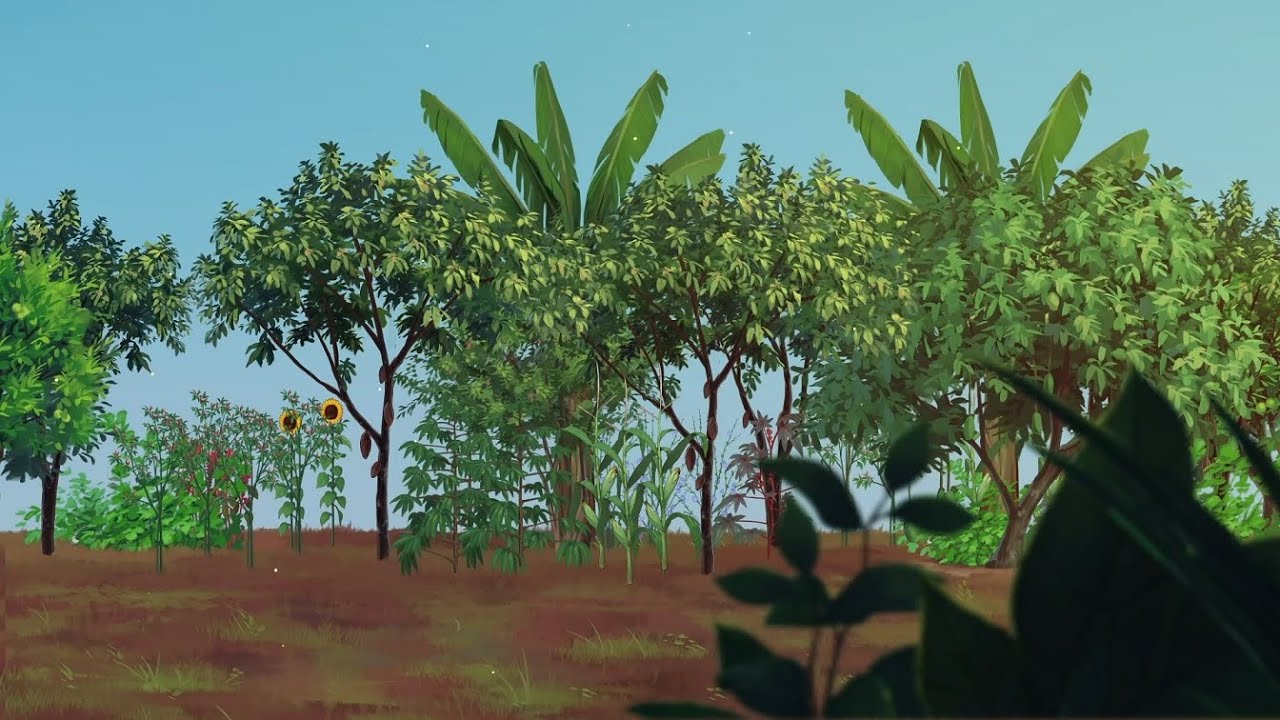 Pengenalan agroforestri / Introduction to agroforestry