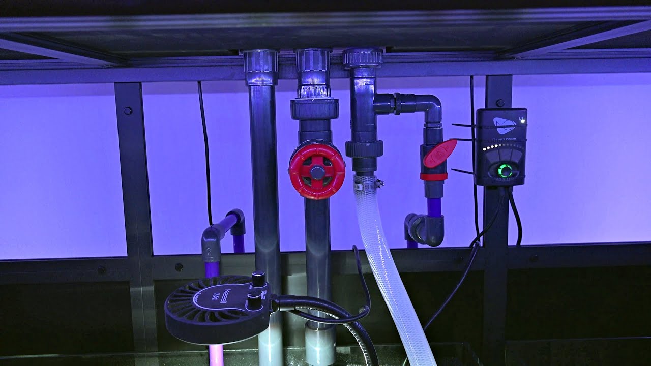 🙌 2023 Waterbox Infinia Frag 175.6 | No more Leaks (Fritz Turbo, Marcoalgae, Biomedia, Cycle)