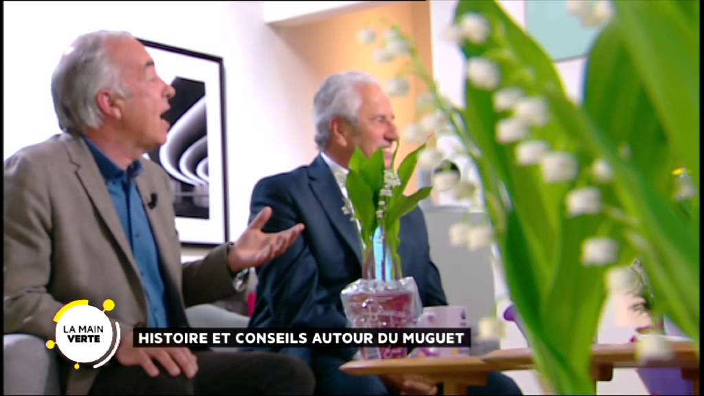 Histoire et conseils autour du muguet