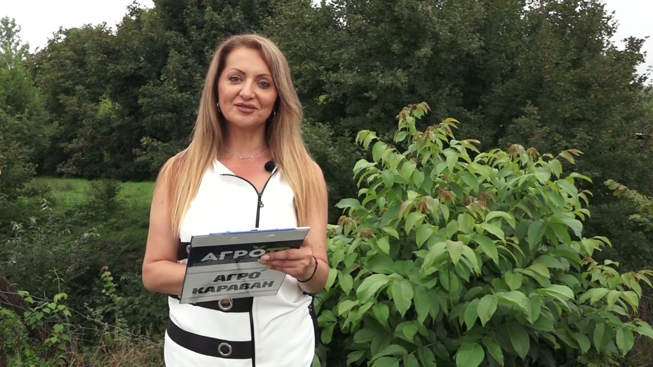 Agro karavan ep.244 - Češljeva Bara - 11.09.2022.