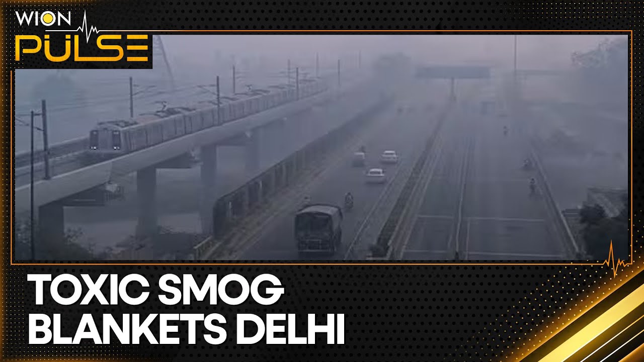 Delhi Pollution: Massive Protest at India Gate, Protesters' Demand Govt Action | WION Pulse