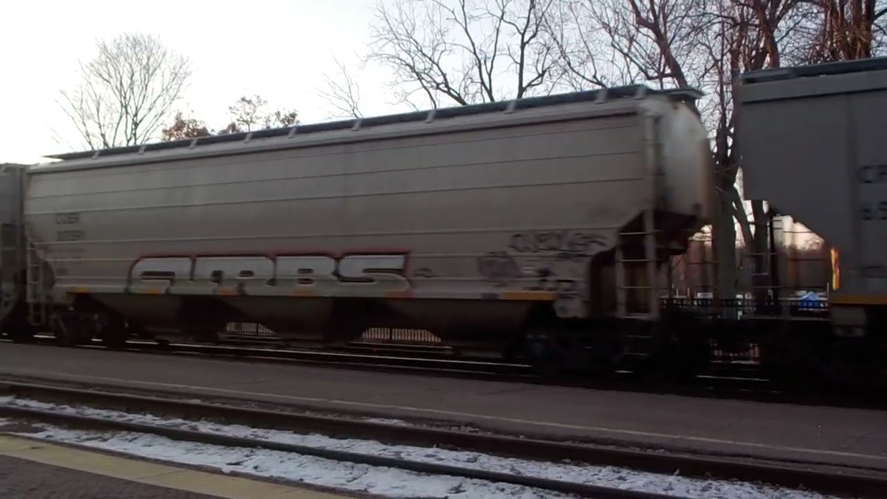 NS 8089 (shave & haircut) w/CPKC 300 series loaded grain 1/25/25