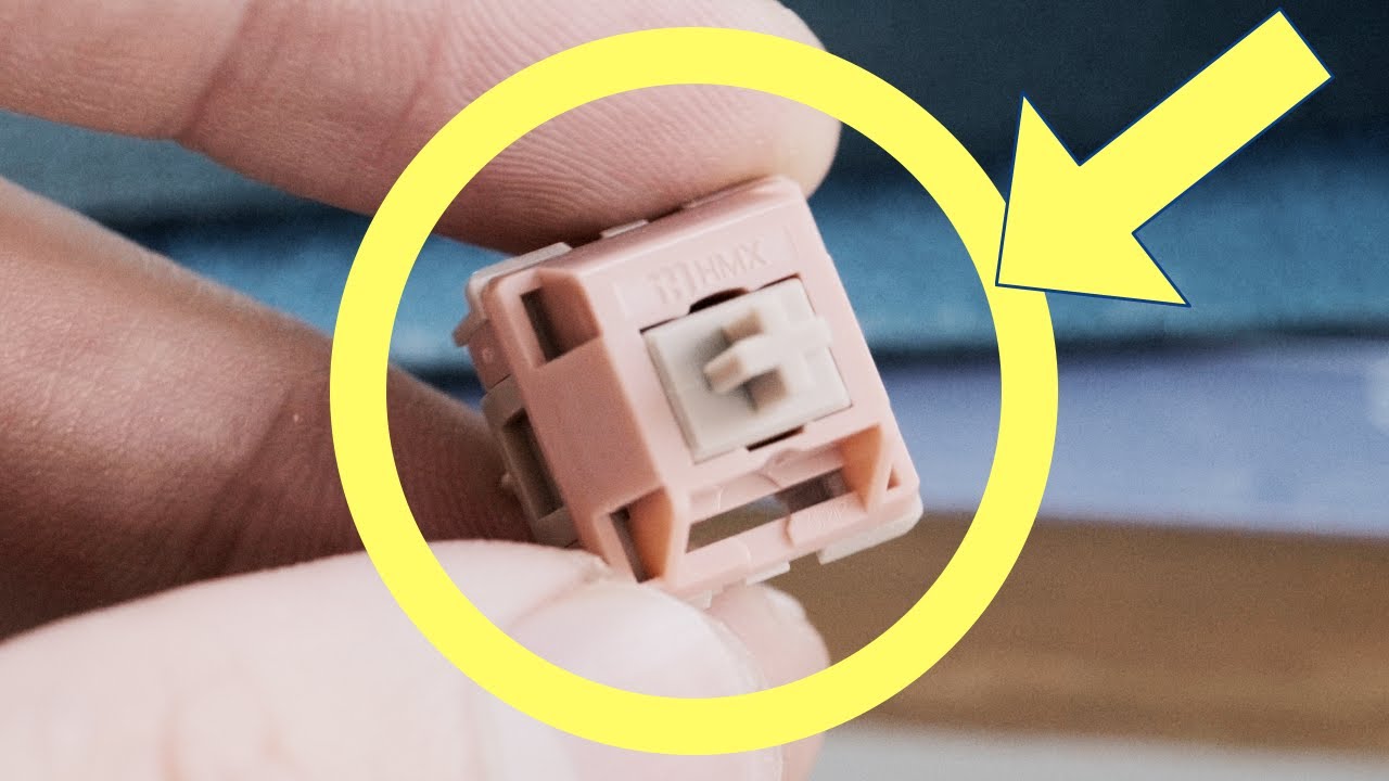 Top 5 Switches of September 2025