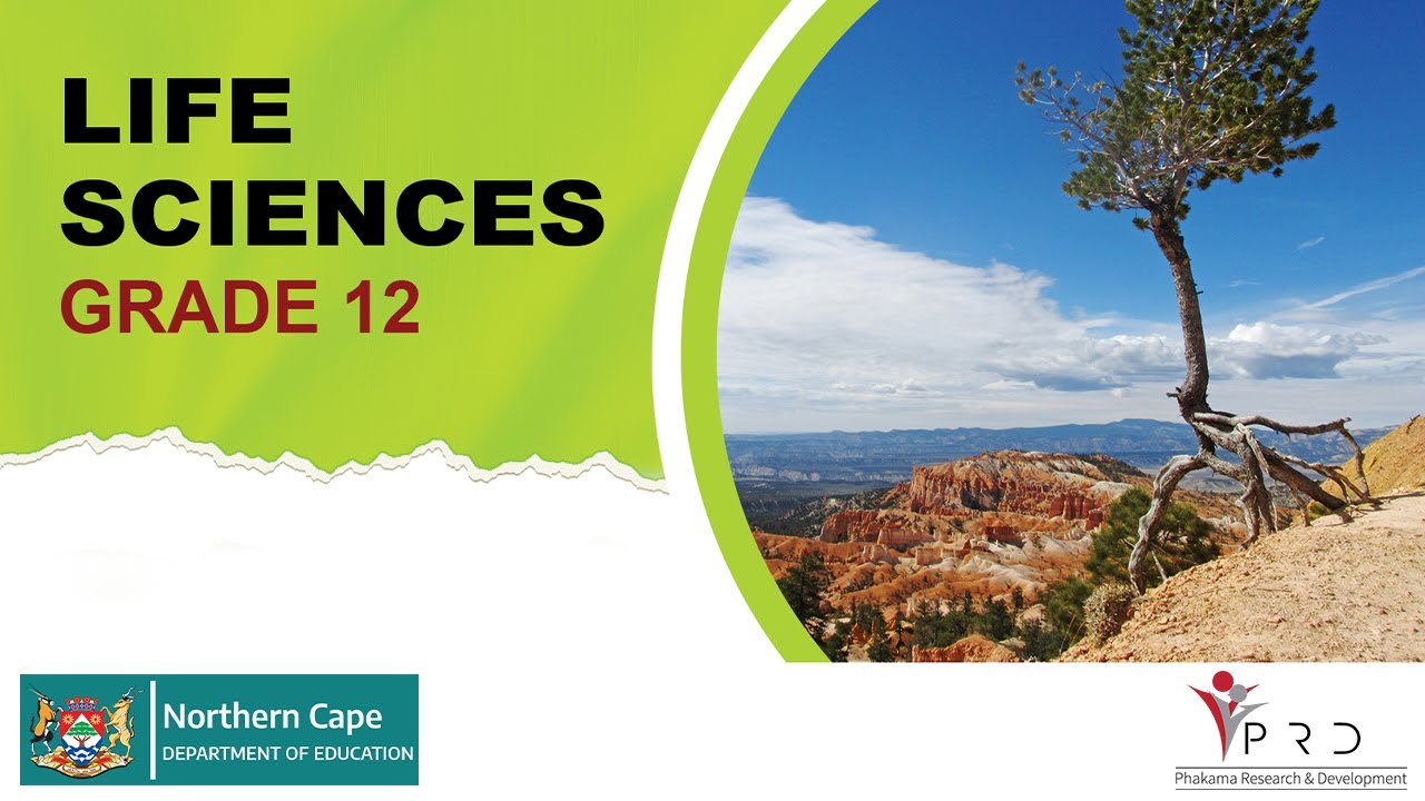 LIFE SCIENCES GRADE 12   PLANT HORMONES AND PLANT DEFENCES