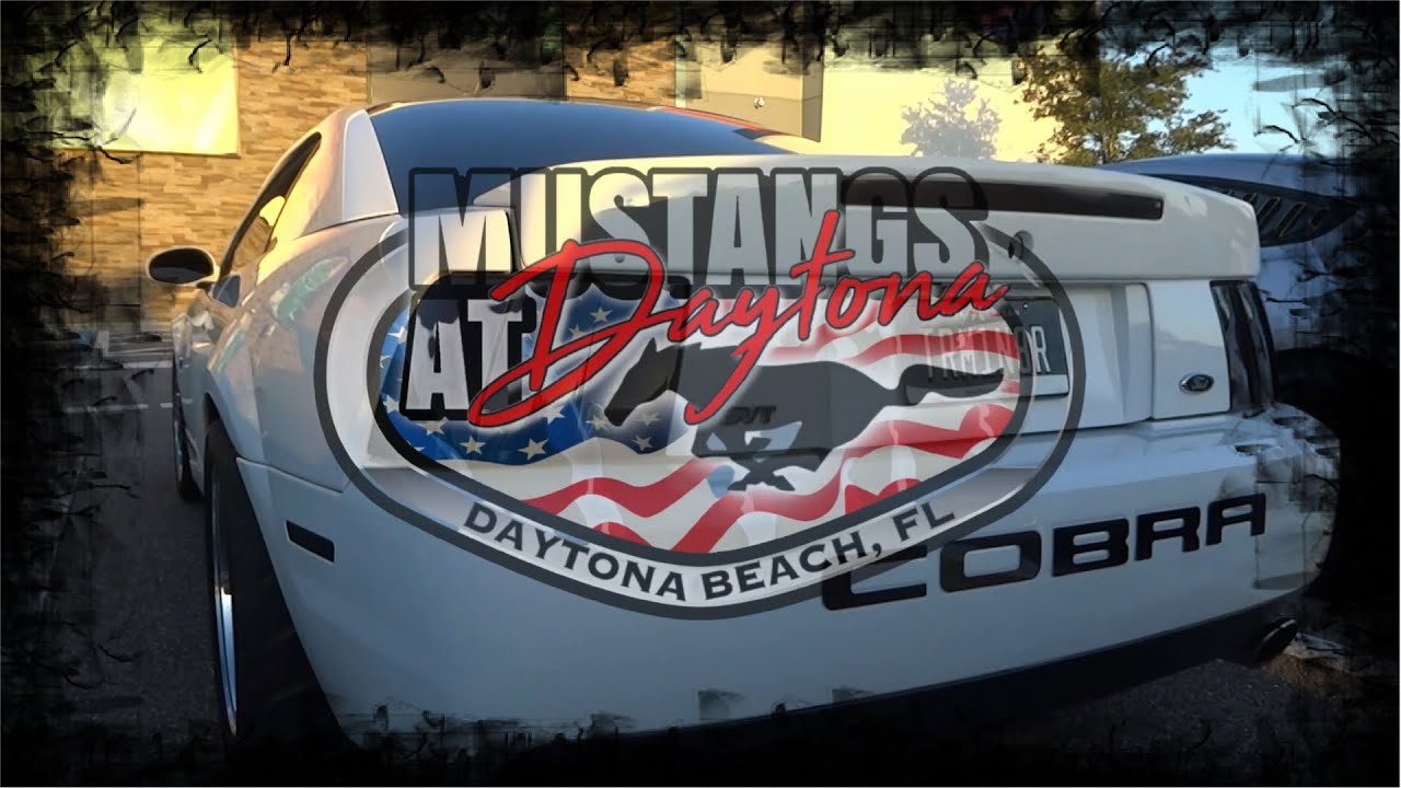 Mustangs At Daytona 2025