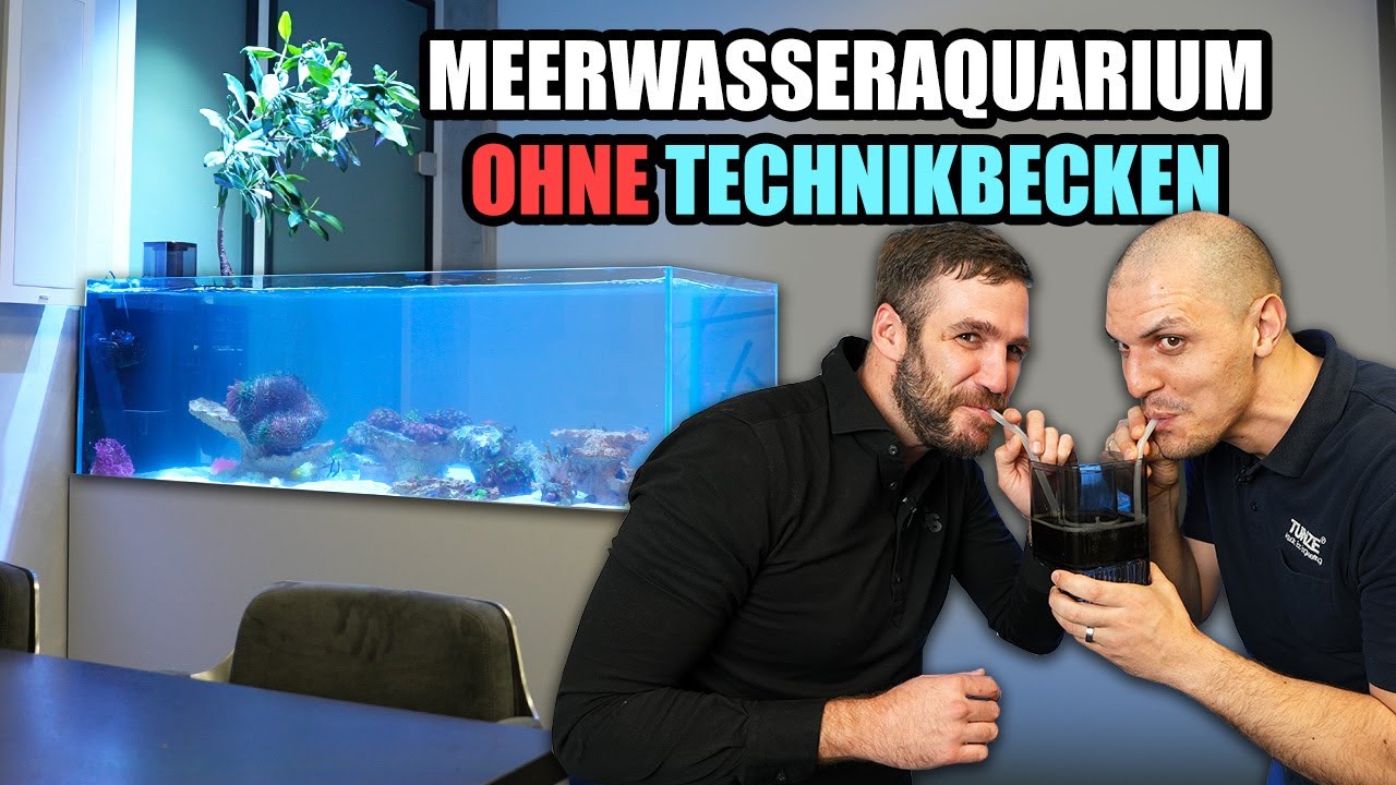 HOW TO:  MEERWASSERAQUARIUM ohne TECHNIKBECKEN 🪸 - Tunze