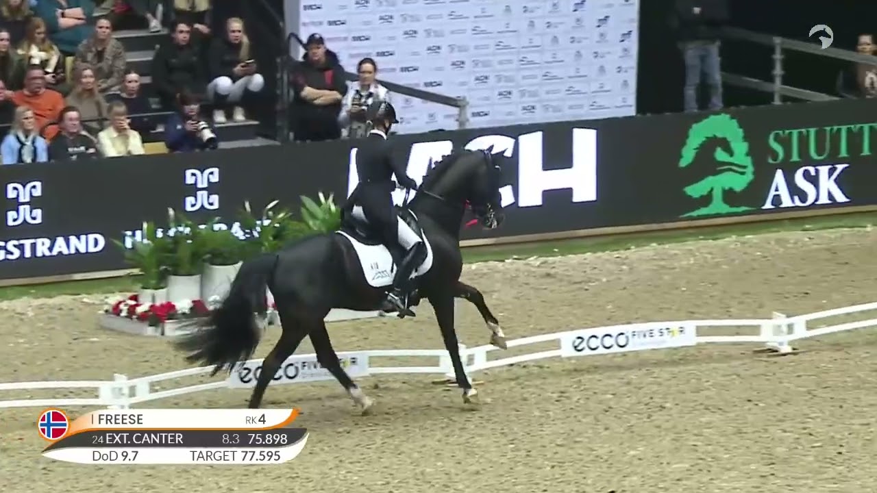 Total Hope OLD og Isabel Freese i CDI5* Grand Prix Freestyle.