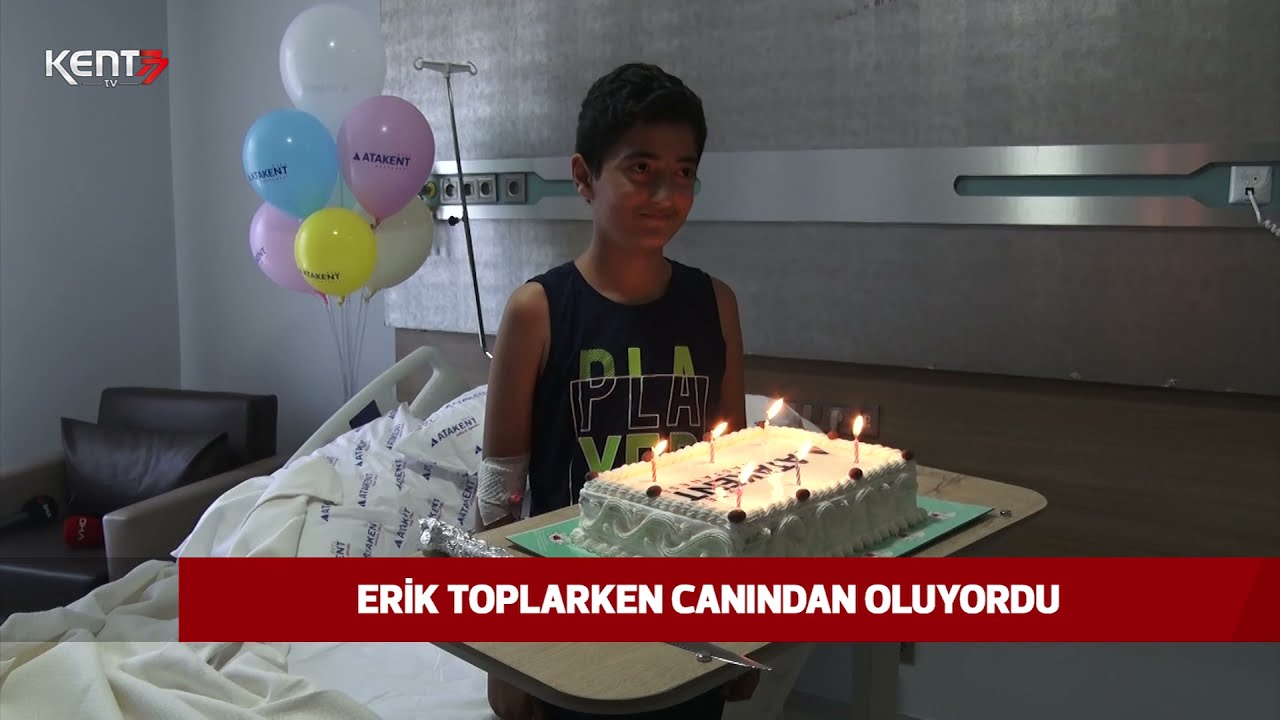 ERİK TOPLARKEN CANINDAN OLUYORDU