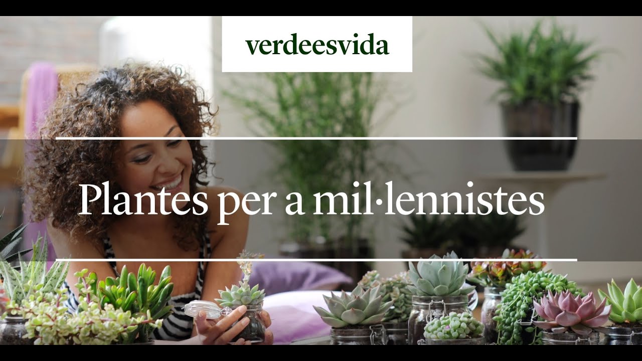 Plantes per a mil-lennistes