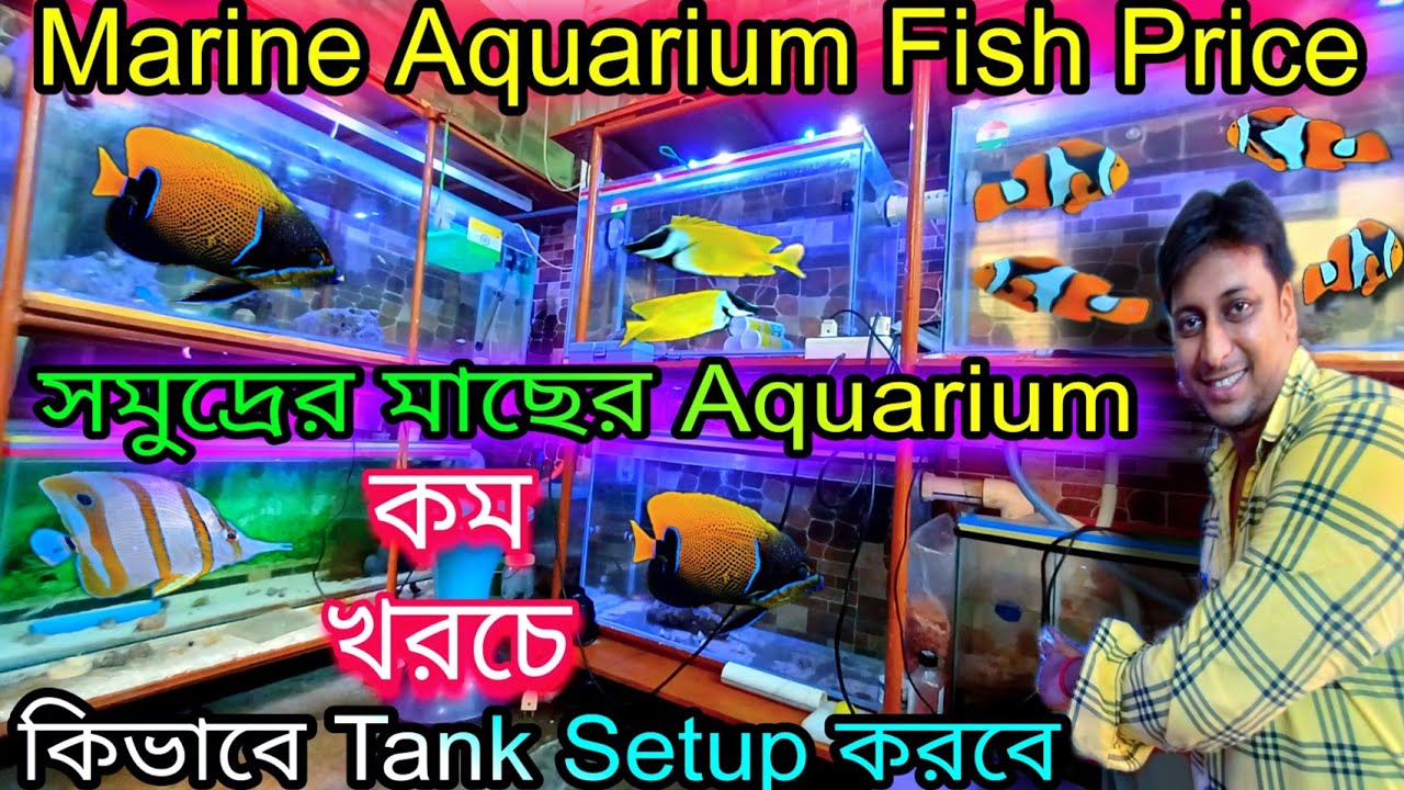 Marine Aquarium Fish Price | Marine Aquarium Tank Setup | Aquarium Fish Price Update | Clown Fish