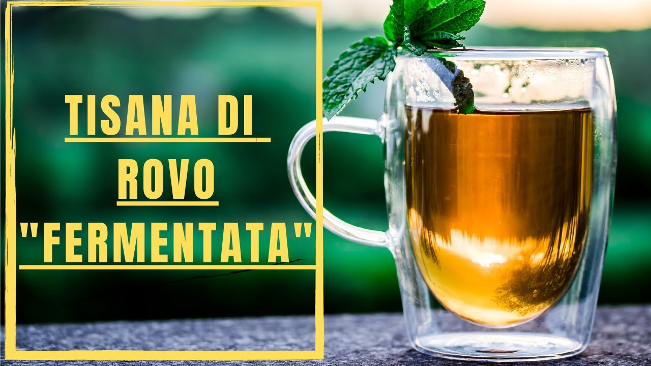 Video ricetta Tisana fermentata di Rovo e Fragola!