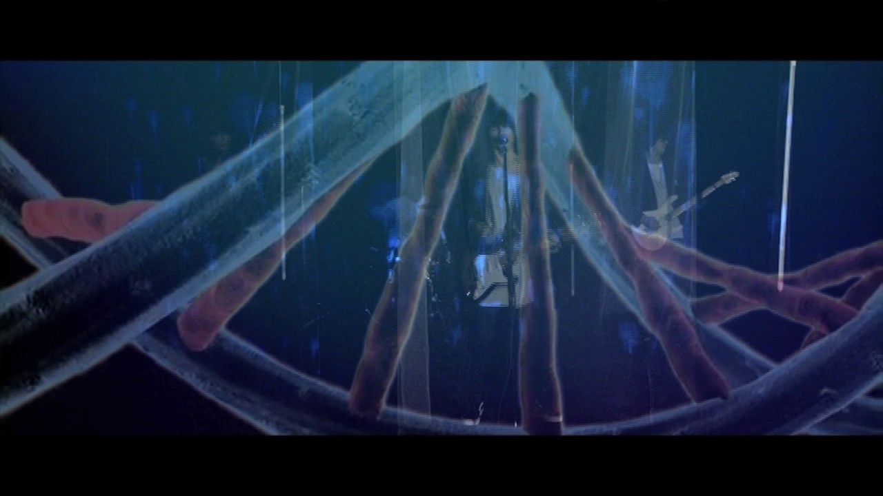 『テロメア』-HIGH BONE MUSCLE(Official Music Video)