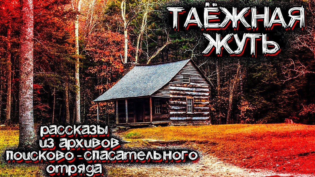 Ужас ТАЙГИ. Рассказы из Архивов Поисково-Спасательных Групп | Мистические Страшные Истории на ночь
