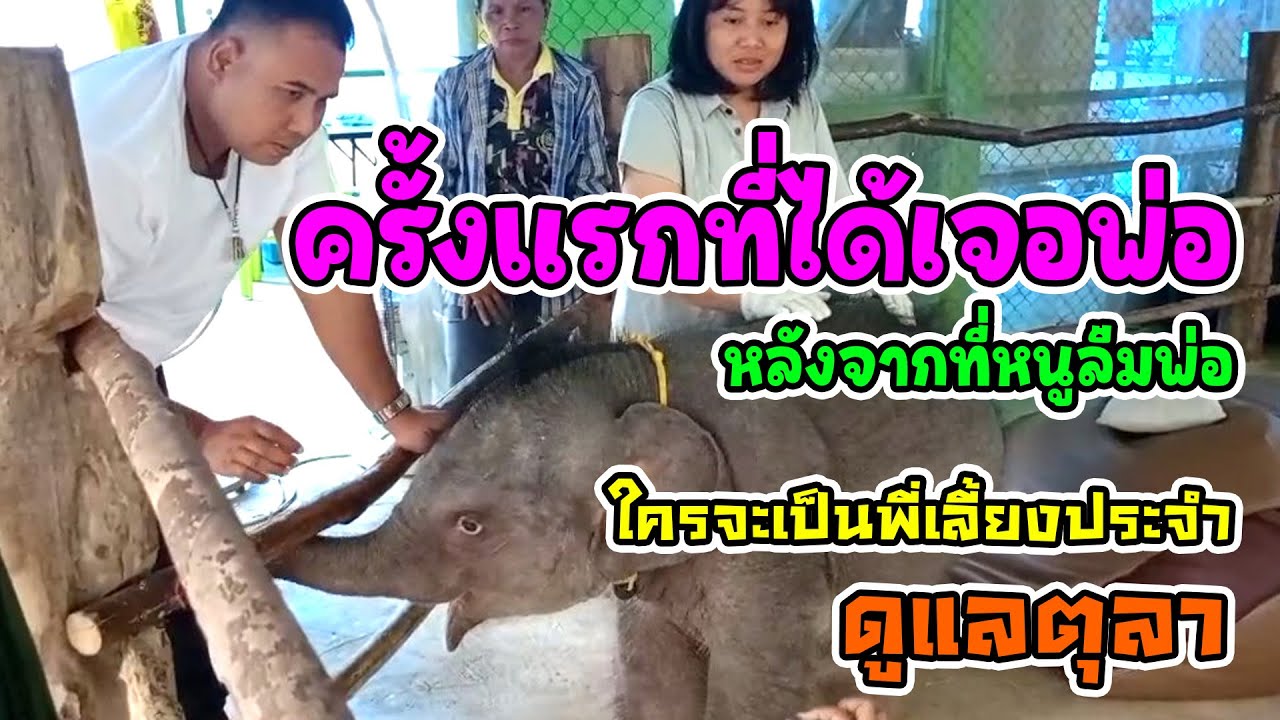 อัพเดทอาการป่วยของตุลา 31 ก.ค.คุณหนูนาและหมอช้างทั่วประเทศ /นาทีแรกที่ได้เจอพ่อสรและแม่หมื่นอีกครั้ง