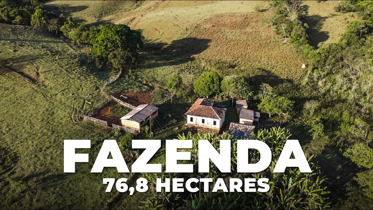 ÓTIMA FAZENDA DE 70 HECTARES COM SEDE ANTIGA A VENDA