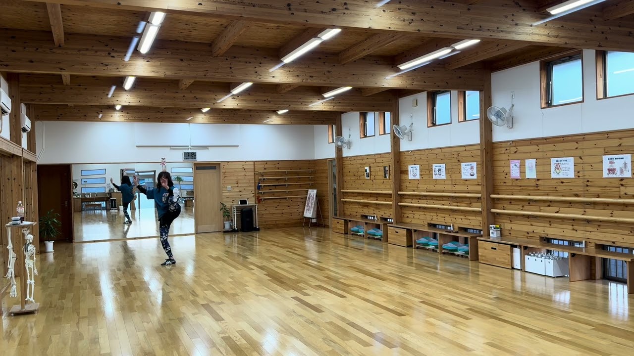 伝統楊式太極拳
