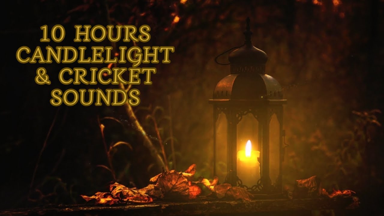 10 Hours Candlelight & Cricket Sounds | Deep Sleep, Study White Noise, Relaxing Night Ambience #asmr