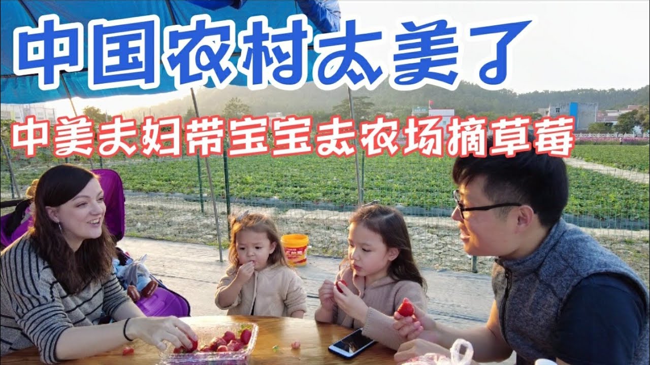 美国女孩嫁到中国，周末去农场摘草莓。中国农村太美了！