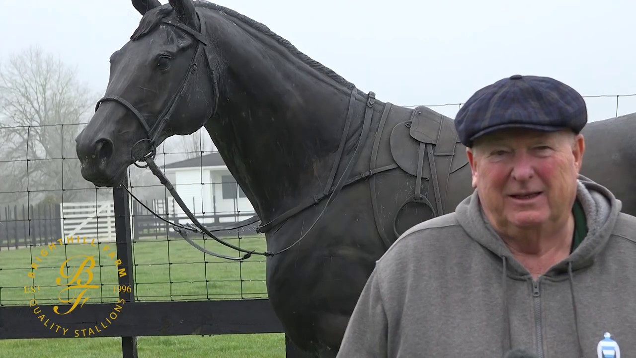 Eminent | Brighthill Farm, New Zealand.