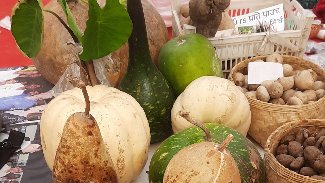 तेज गर्मियां शुरू होने से पहले सभी तरह के बीज लगा सकते हैं आज