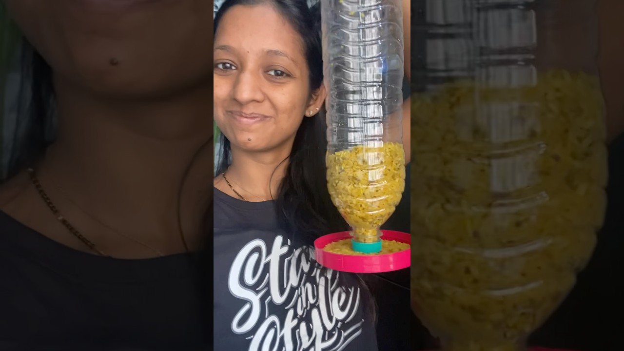 Easy bird feeder DIY at home
