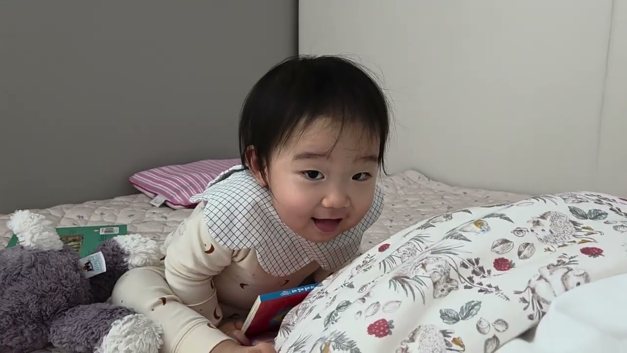 2026년 2월 25일