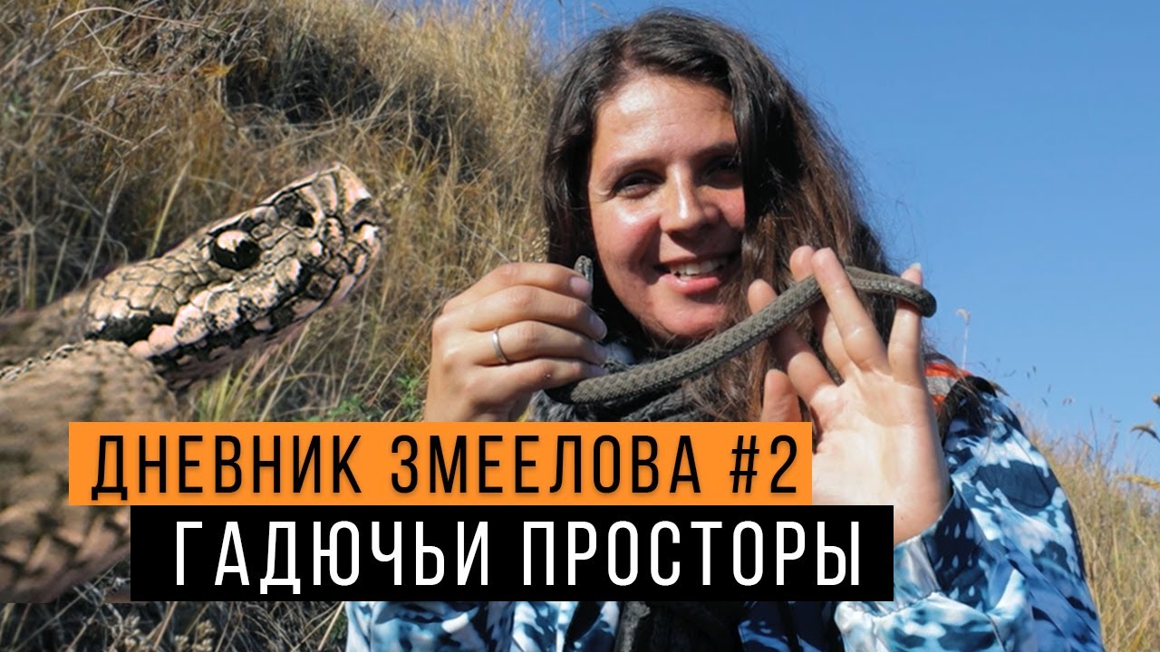 Ловим степных гадюк - Дневник змеелова #2 / Змеелов - ученый