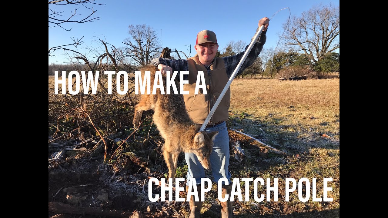 How to Make a CHEAP Catch Pole