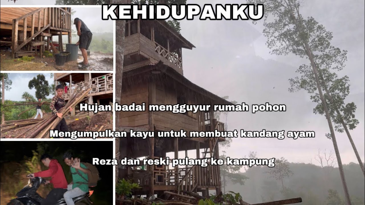 MULAI MENGUMPULKAN KAYU UTK KANDANG AYAM,DI TERPA HUJAN BADAI,RESKI & REZA PULANG KE KAMPUNG