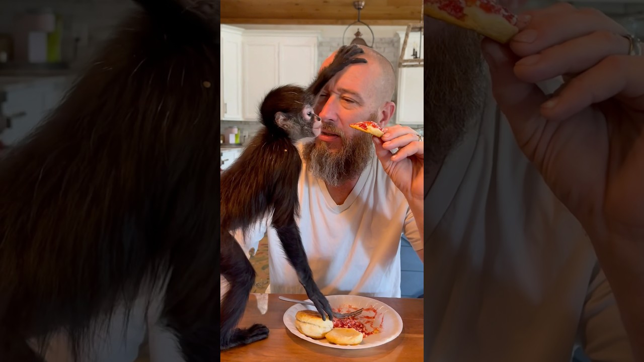 You&rsquo;ve got monkey foot in your jelly 🤣
