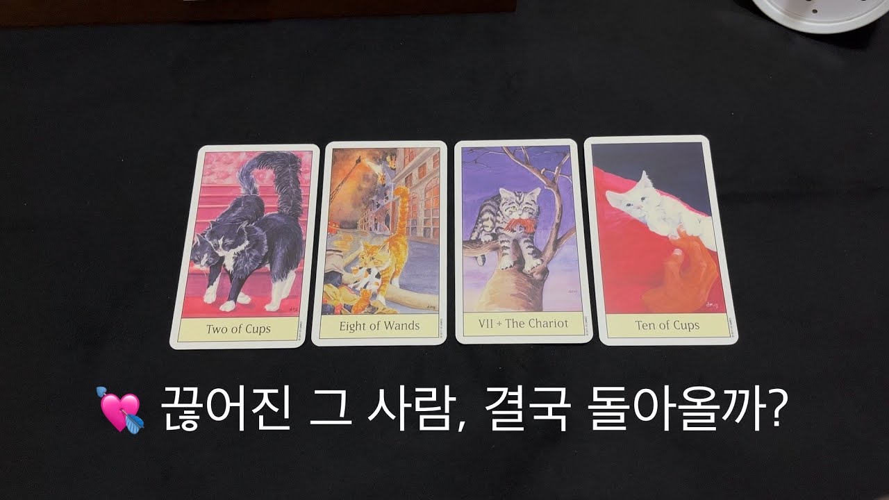 💘 끊어진 그 사람, 결국 돌아올까? [재회운, 연락운, 속마음, 관계성, 시기]