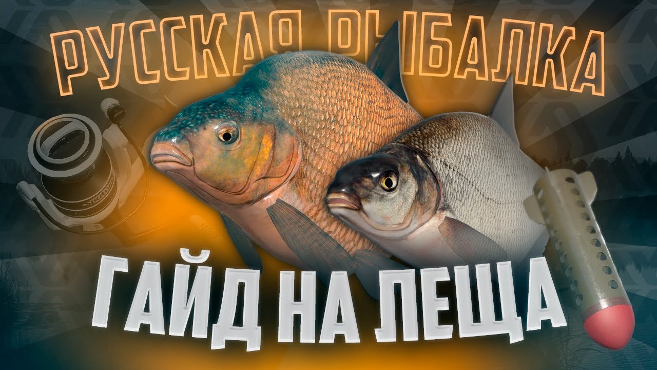 РР4 ГАЙД #1 🔵 ЛОВИ ЛЕЩА С КОМФОРТОМ | СБОРКА, ФАРМ, ПРИКОРМ, ПРОКАЧКА, СОВЕТЫ НОВИЧКАМ