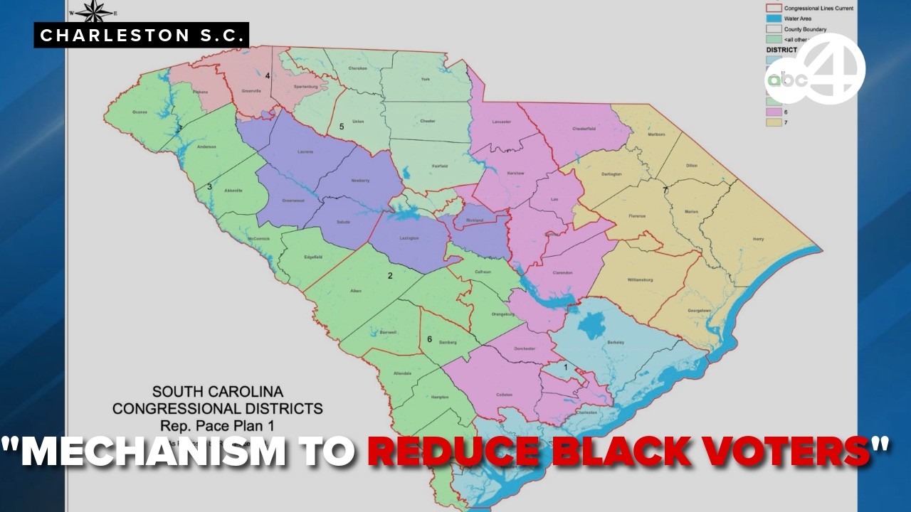 South Carolina's 6th District hearing on hold