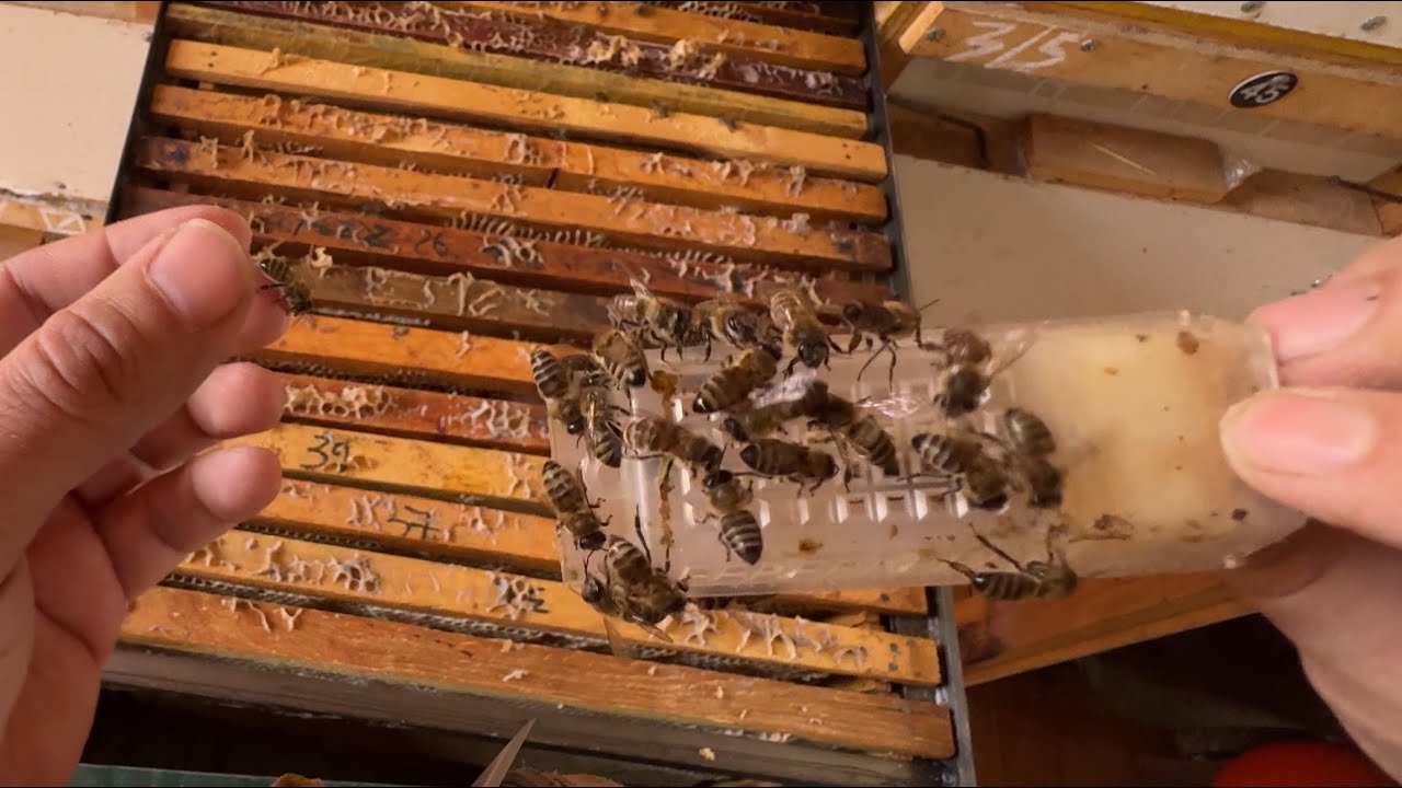 Онасиз оилага она берамиз 