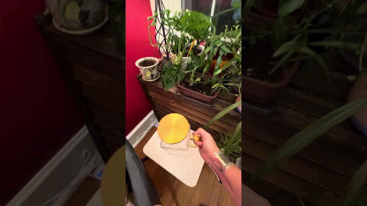 Retro Square Glass Pitcher has so many uses.