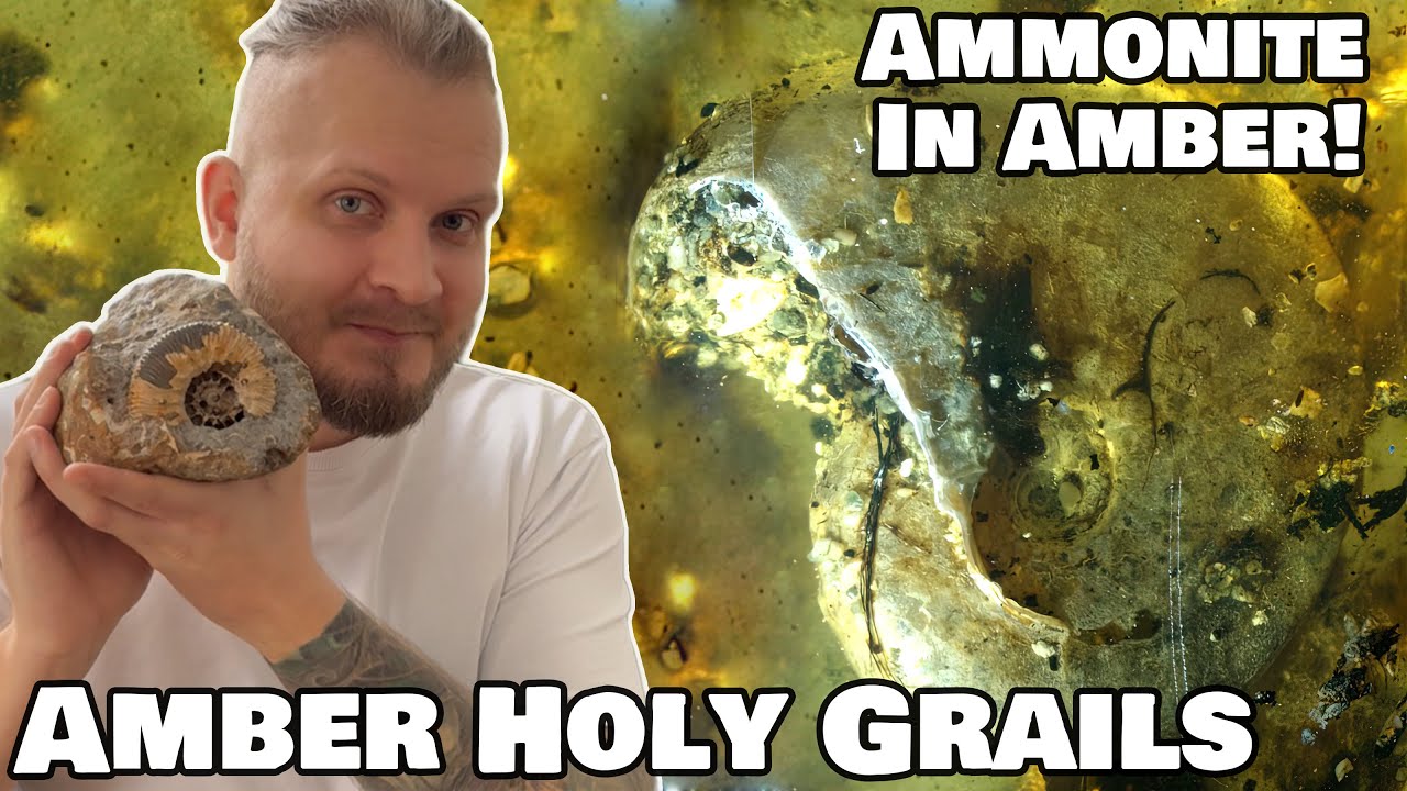 Holy grails of Amber collecting - Burmite Amber edition