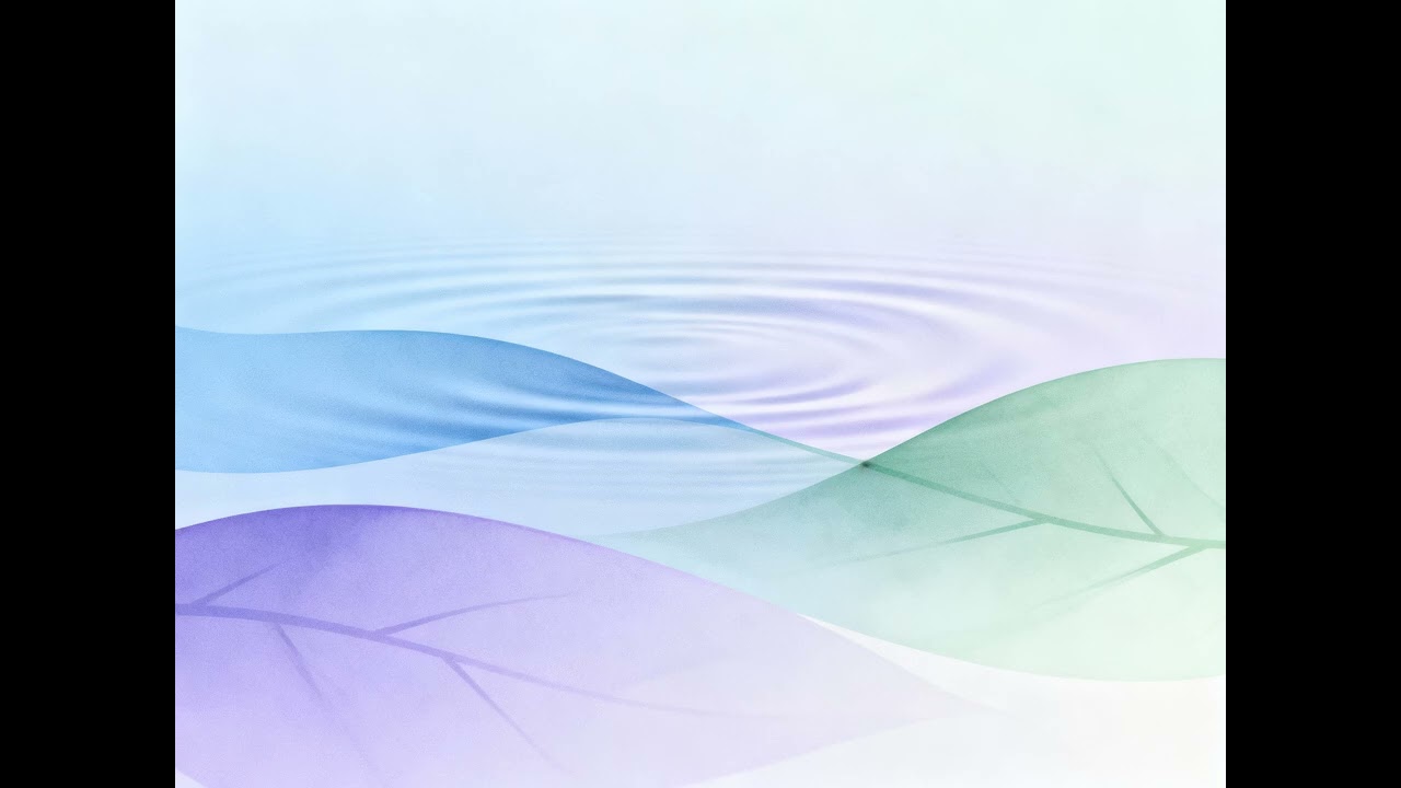 Guided Mindfulness - AI - The Mind Illuminated
