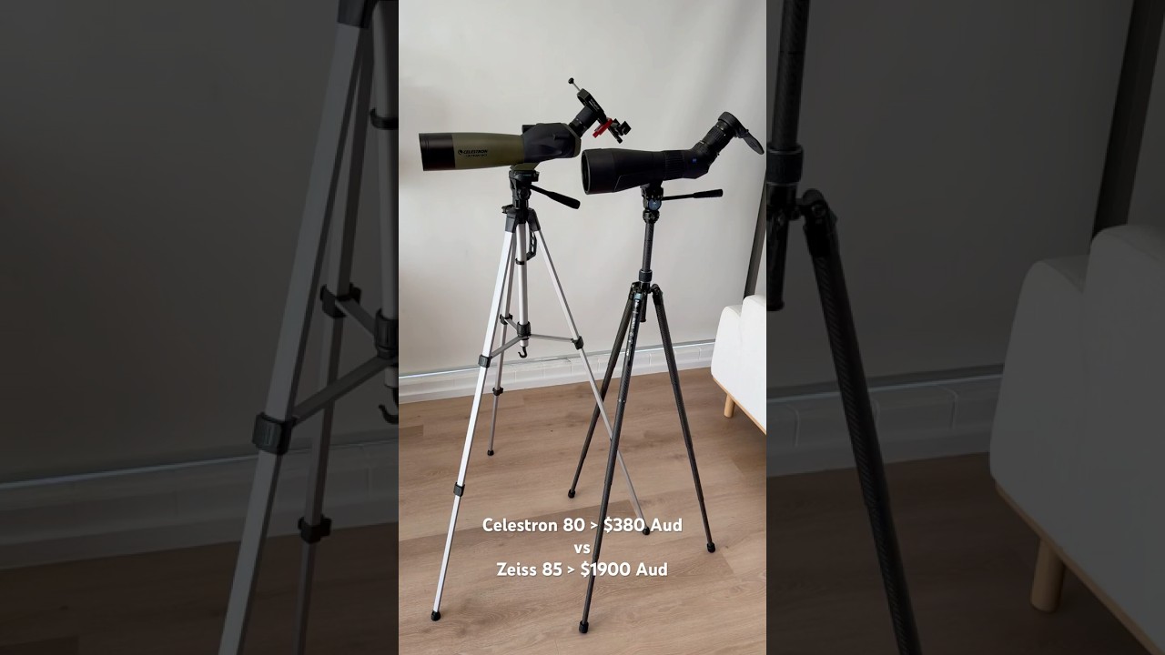Zeiss Gavia 85 vs Celestron Ultima 80 #zeiss #celestron #gavia85 #digiscoping #ultima80