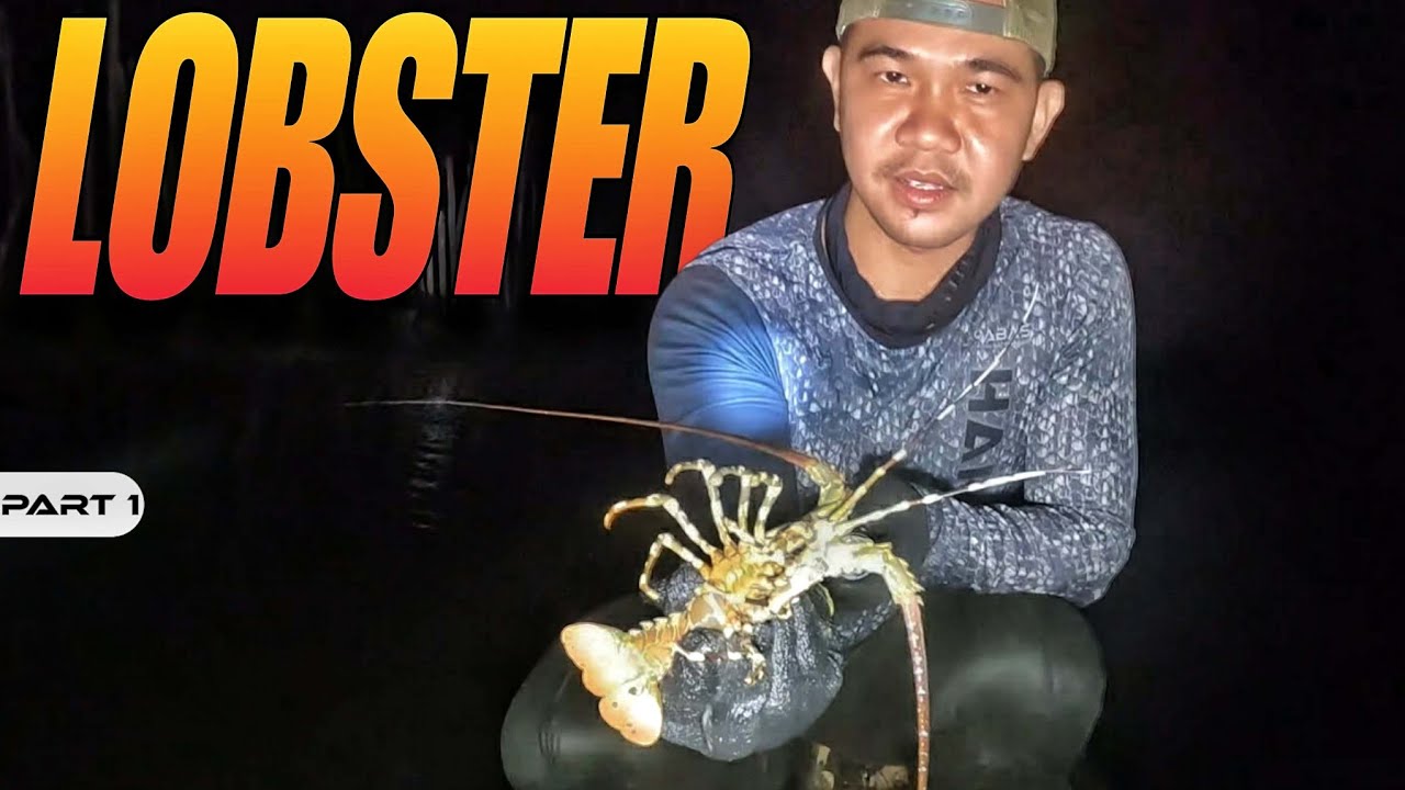 P1 - Nakadakma ng Lobster