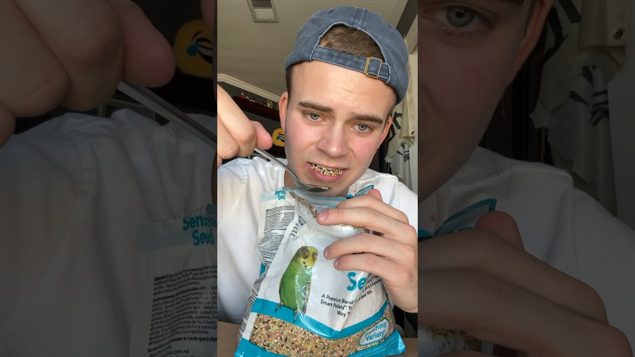Trying bird food to see why they like it so much