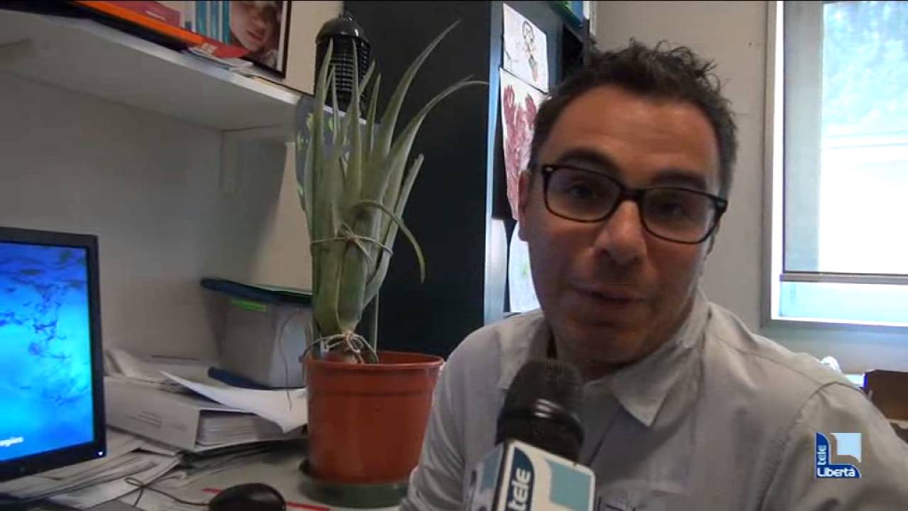 Aloe Vera contro i tumori. A settembre al via una ricerca dell'università Cattolica