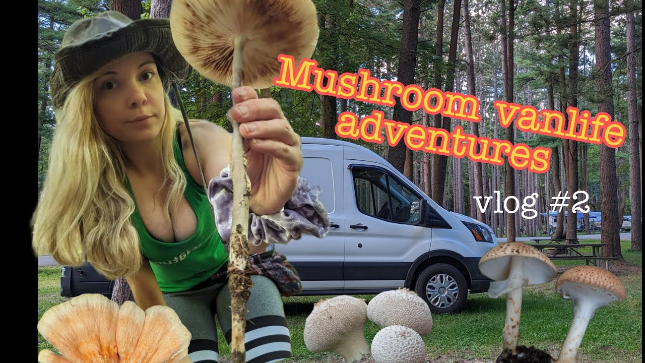 Mushroom Vanlife Adventures - Vlog 2