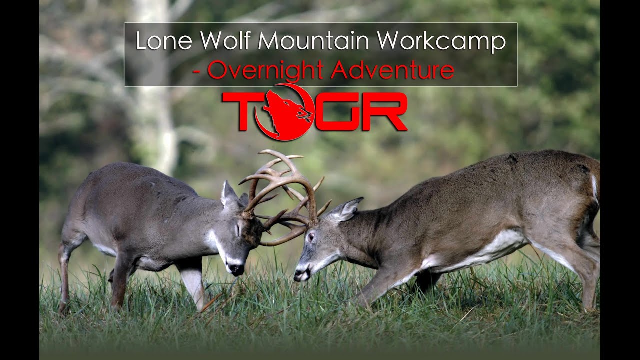 Working on the Land! - Lone Wolf Mountain Workcamp - Overnight Adventure