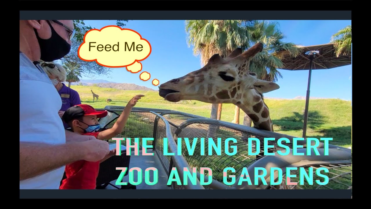 THE LIVING DESERT ZOO And GARDENS | PALM DESERT | PALM SPRING | Eves California