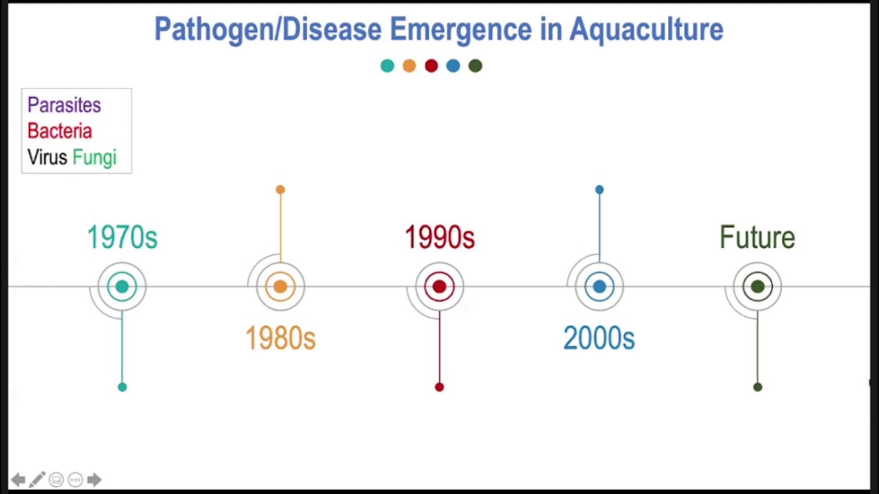 Aquaculture Best Managemental Practices  (BMPs)