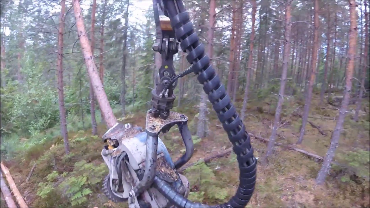 Rottne H8 - Thinning in Norway