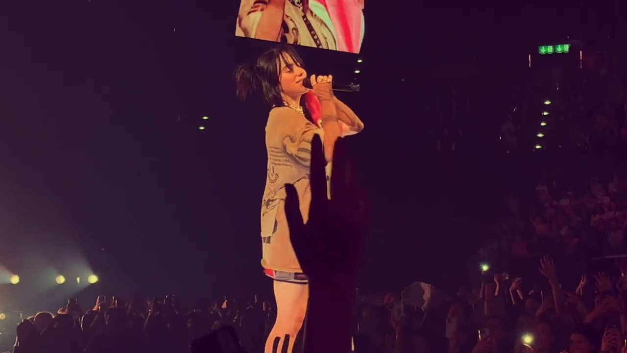 Billie Eilish - Billie Bossa Nova, live Happier Than Ever World Tour (2.7.2022 Zürich)