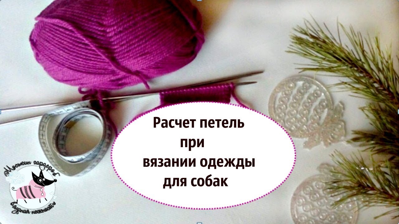 Расчет петель при вязании одежды для собак. Уроки вязания на канале 